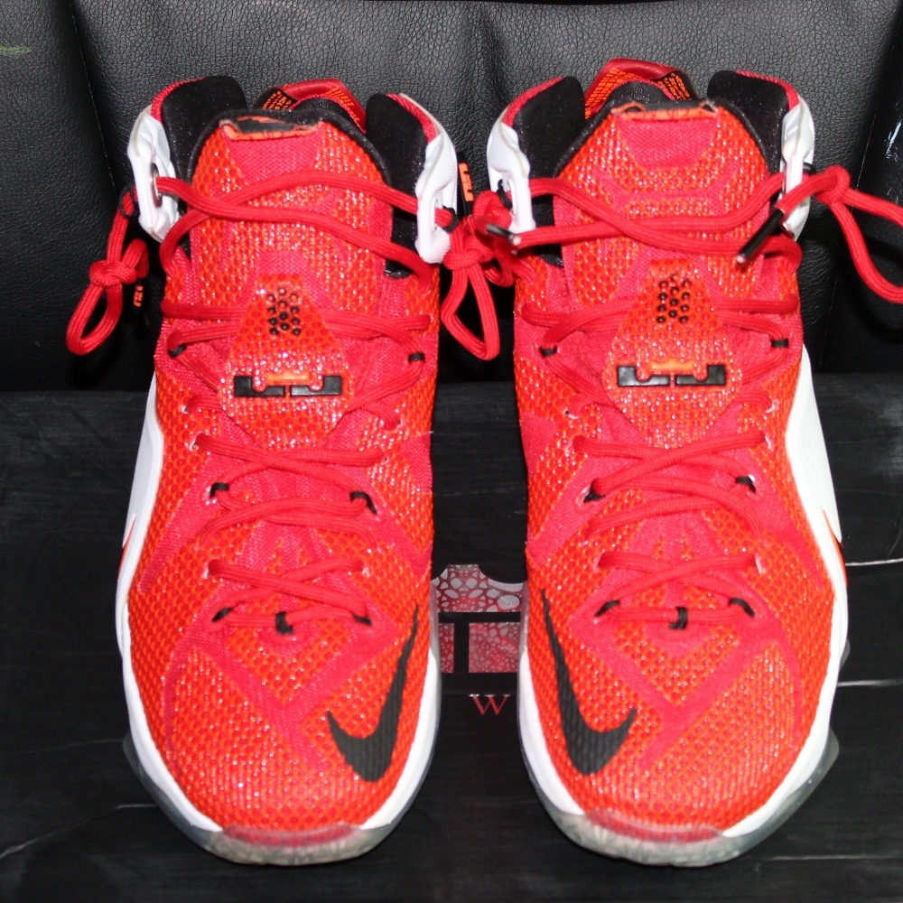 LeBron 12 heart of a lion